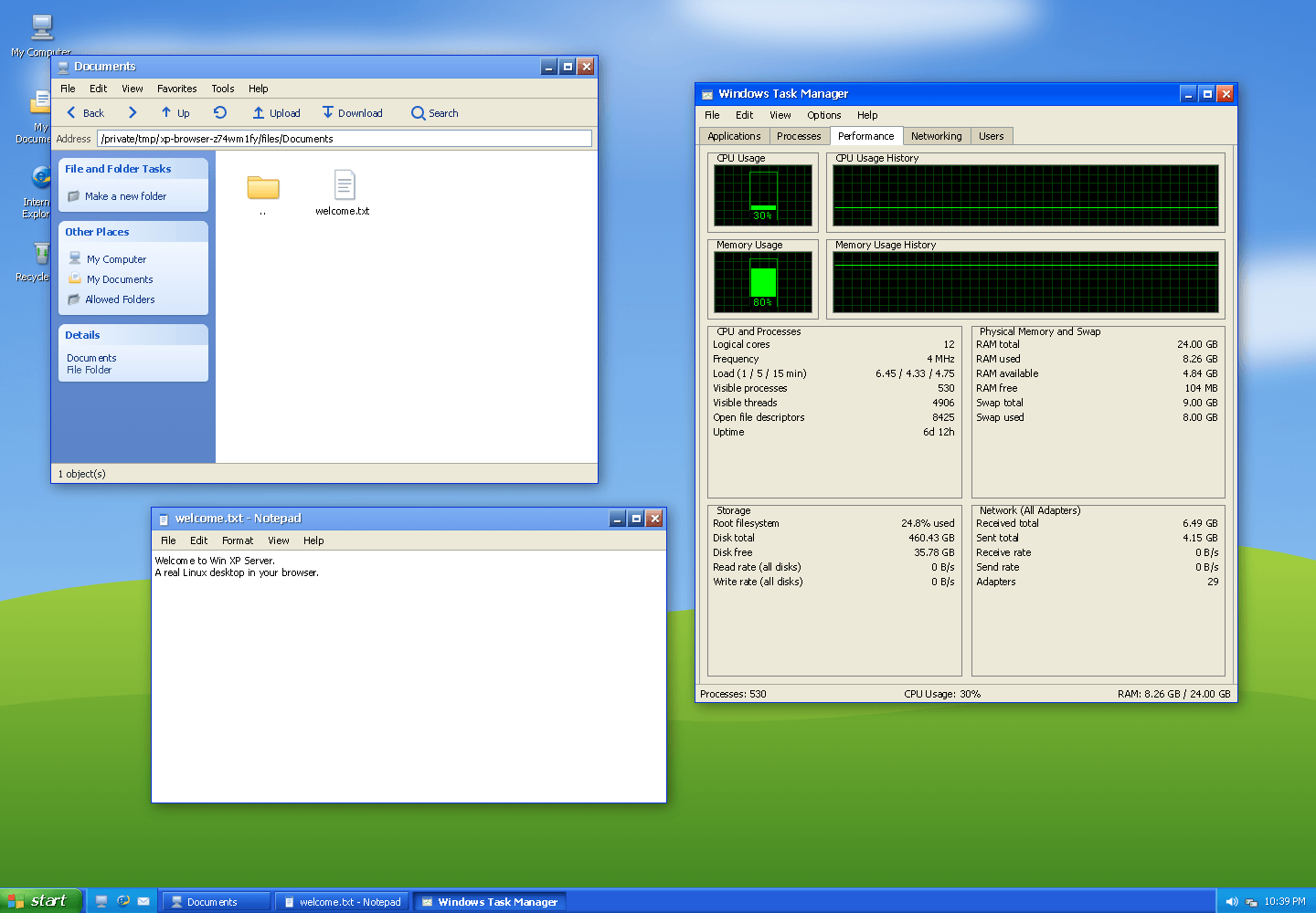 Win XP Server: files, Notepad, and server monitoring